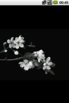 Burgeon cherry blossom screenshot 1/3