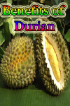 Benefits of Durian screenshot 1/3