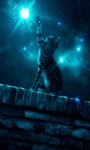 Cat In Night Live Wallpaper screenshot 1/3