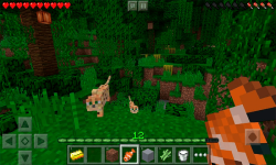 Minecraft Pocket Edition HD screenshot 4/4