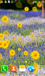 Lavender Field Live Wallpapers screenshot 5/6