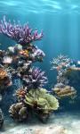 Amazing Pictures Blue Sea Coral Live Wallpaper screenshot 6/6