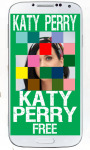 Katy Perry Puzzle Games screenshot 2/6