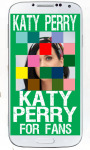 Katy Perry Puzzle Games screenshot 6/6