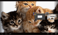 Kittens live Wallpaper  screenshot 5/5