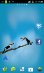 Birds Live wallpaper app screenshot 1/3
