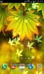 Autumn Bokeh Leaves Live Wallpaper screenshot 2/6