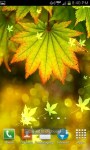 Autumn Bokeh Leaves Live Wallpaper screenshot 3/6