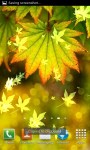 Autumn Bokeh Leaves Live Wallpaper screenshot 4/6