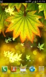 Autumn Bokeh Leaves Live Wallpaper screenshot 5/6