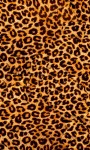 Best Leopard Wallpaper screenshot 2/6