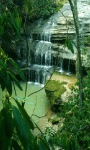 Green Forest Waterfall LWP screenshot 1/3