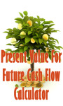 Present Value For Future Cash Flow Calculator screenshot 1/3