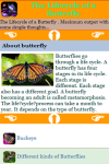 The Lifecycle of a Butterfly screenshot 3/3