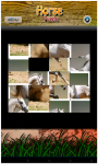 Horses Puzzles screenshot 2/2