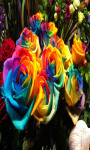 Rainbow Rose Flowers Live Wallpaper Best screenshot 3/4