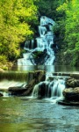 Wild Waterfall Live Wallpaper screenshot 1/3