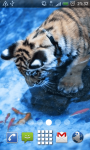 Tiger in Water live Wallpaper Theme Background screenshot 1/3