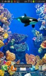 Touch the Whale Live Wallpaper free screenshot 2/4