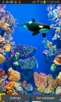 Touch the Whale Live Wallpaper free screenshot 3/4