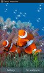 Underwater Clown Fish Live Wallpaper screenshot 1/3