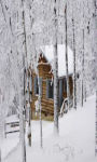 Mountain cabins in winter Wallpaper  screenshot 1/3
