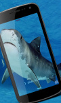 Shark Wallpaper HD screenshot 1/3