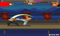 Bruce Lee Iron screenshot 2/6