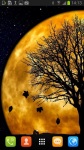 Beautiful Moon Silhouette Live Wallpaper screenshot 2/3