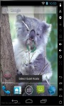 Quiet Koala Live Wallpaper screenshot 2/2