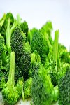 Benefits of Broccoli screenshot 2/4