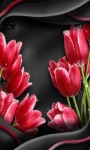 Red Tulip Flower LWP screenshot 2/3