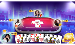 Call Bridge Card Game Offline screenshot 2/4