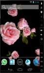 Rain Of Roses Live Wallpaper screenshot 1/2