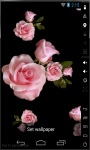 Rain Of Roses Live Wallpaper screenshot 2/2