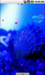 Sea Starfish Live Wallpaper screenshot 3/4