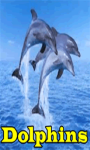 Dolphins Lite screenshot 1/3