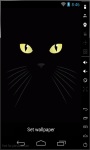 Dark Cat Live Wallpaper screenshot 1/2