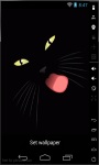 Dark Cat Live Wallpaper screenshot 2/2