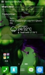 Amazing Green Hulk Wallpapers screenshot 5/6