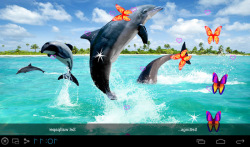 3D Dolphin Live Wallpapers screenshot 1/5