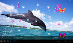 3D Dolphin Live Wallpapers screenshot 3/5