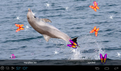 3D Dolphin Live Wallpapers screenshot 4/5