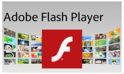Adobe Flash Guide Free screenshot 2/6