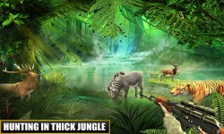  Forest Animal Real Hunting screenshot 4/4