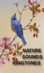 Nature Sounds Ringtones Pro screenshot 1/3
