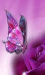Purple Butterfly Live Wallpaper screenshot 1/3
