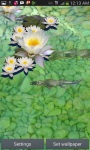 3D Alligator and Fish Pond LWP screenshot 2/3