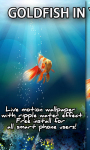 Goldfish In Your Phone LWP screenshot 1/3