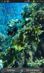 Coral Reef In the Deep Sea LWP free screenshot 2/6
